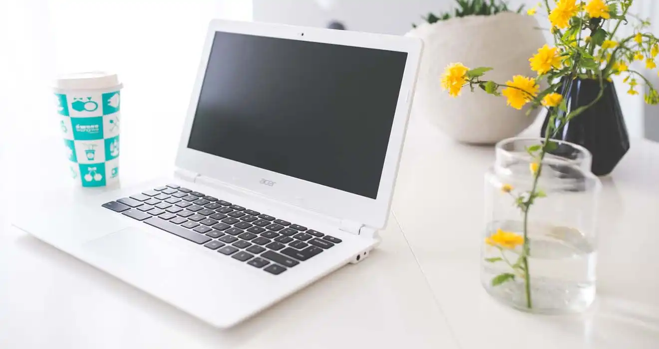 Ремонт ноутбуков Acer в Солнечногорске